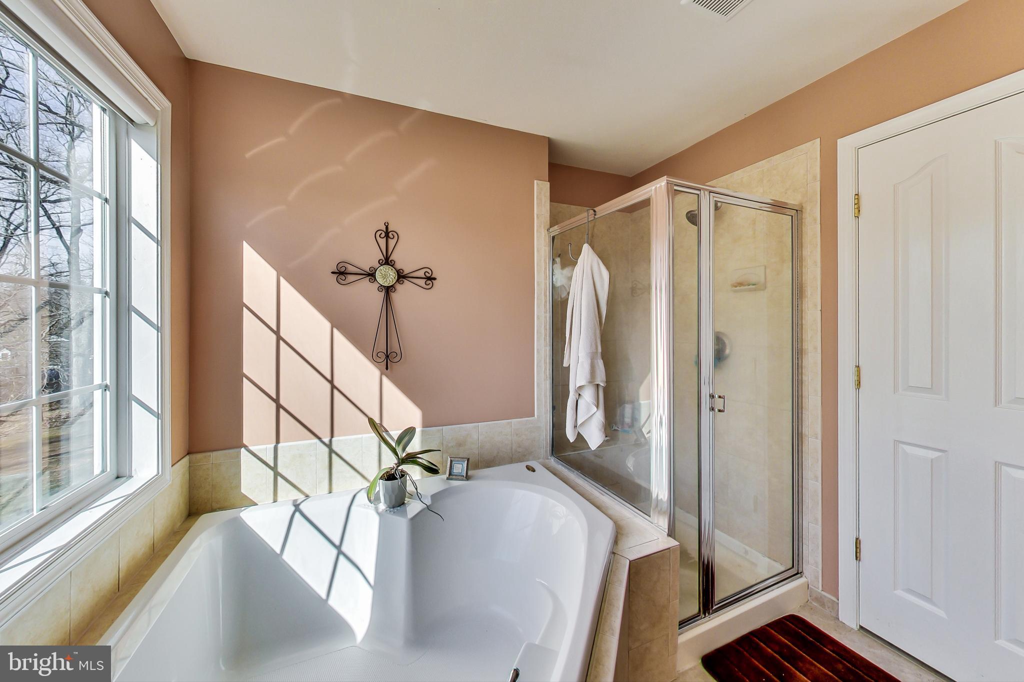 2920 New Rover Road West Friendship, MD 21794 - Photo 36 of 76 Primary bath with separate shower
