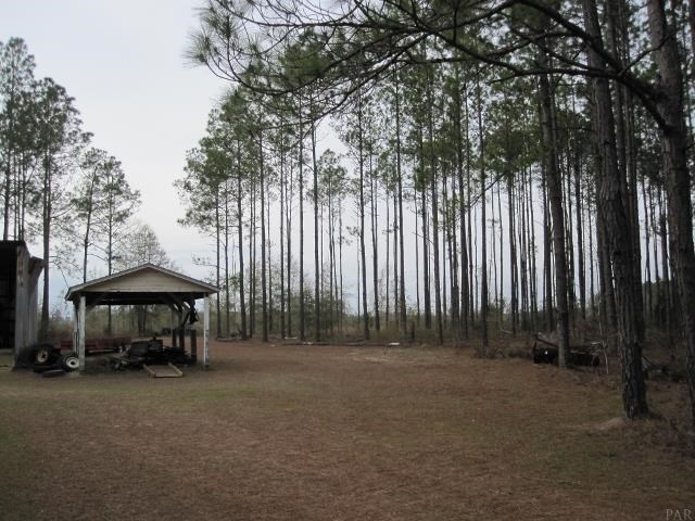 4128 Pate Pond Road Vernon, FL 32462 - Photo 20 of 21 Gallery Image 20