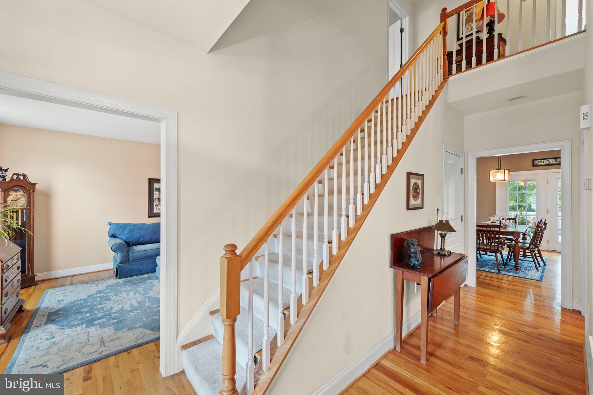 117 Cool Spring Drive Stephens City, VA 22655 - Photo 29 of 60 Carpeted stairway