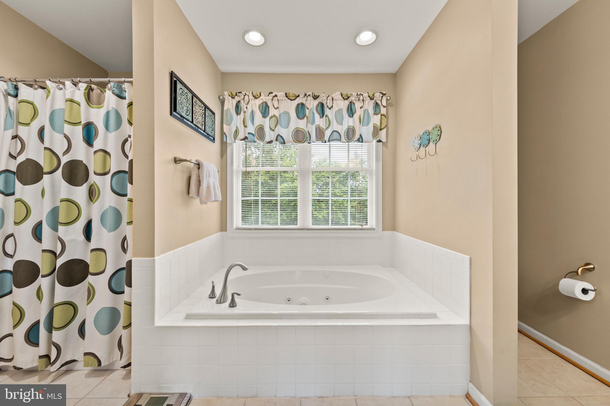 117 Cool Spring Drive Stephens City, VA 22655 - Photo 33 of 60 Primary bathroom soaking tub & separate shower