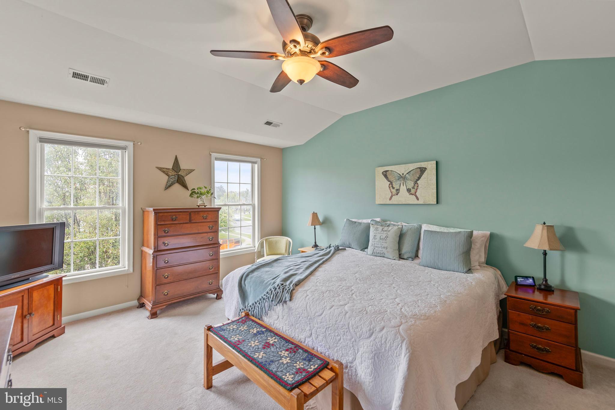 117 Cool Spring Drive Stephens City, VA 22655 - Photo 4 of 60 Primary bedroom with vaulted ceiling