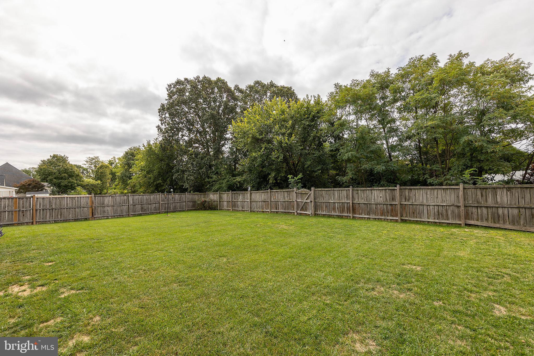 117 Cool Spring Drive Stephens City, VA 22655 - Photo 6 of 60 Fenced backyard