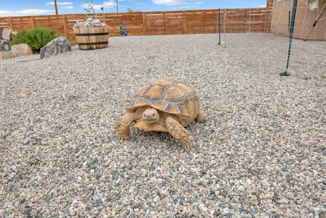 $274,499 | 7412 Maude Adams Avenue, Twentynine Palms, CA 92277