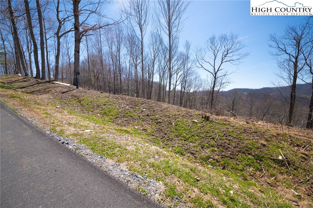 Lot 80 Bear Paw Road Elk Park, NC 28622 - Photo 10 of 19