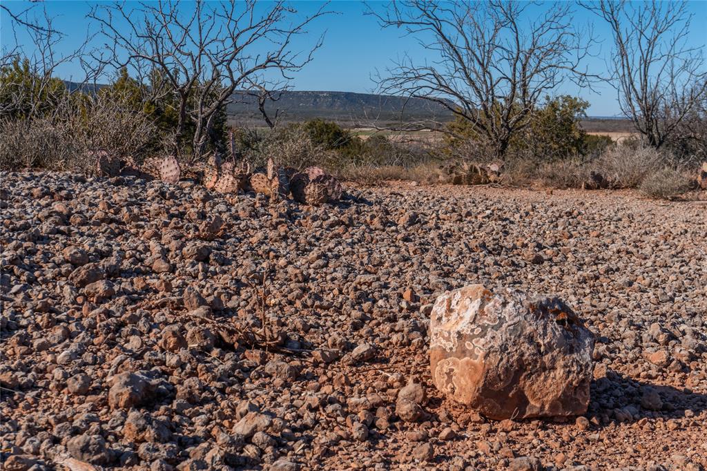 T2 County Road 175 Winters, TX 79567 - Photo 11 of 14 a view of a yard with a tree