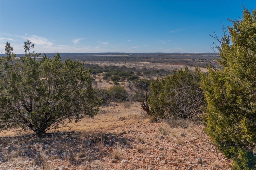 T2 County Road 175 Winters, TX 79567 - Photo 4 of 14 a view of a dry yard with trees