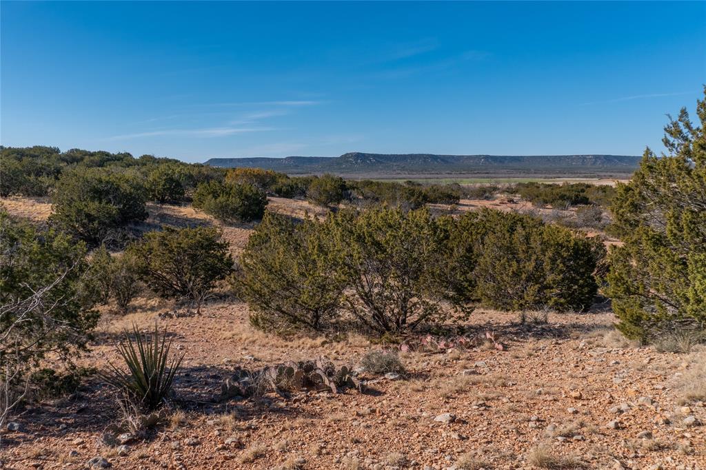T2 County Road 175 Winters, TX 79567 - Photo 10 of 14 a view of an outdoor space with mountain view
