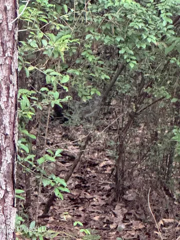 $240,000 | 134 A Harry Sones Road, Carriere, MS 39426