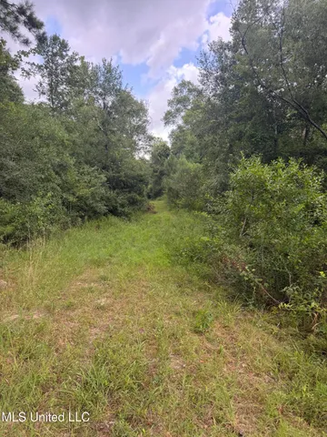 $240,000 | 134 A Harry Sones Road, Carriere, MS 39426