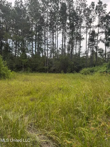 $240,000 | 134 A Harry Sones Road, Carriere, MS 39426