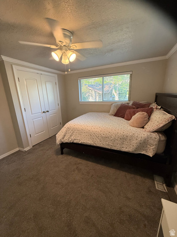 1075 East 300 North Springville, UT 84663 - Photo 16 of 20
