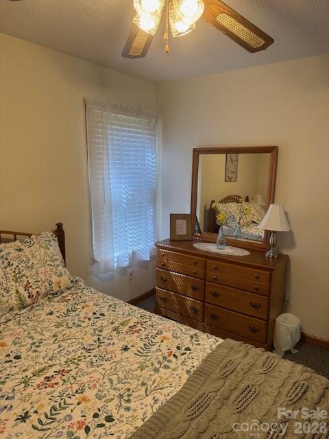 918 Plott Balsam Road Maggie Valley, NC 28751 - Photo 24 of 30
