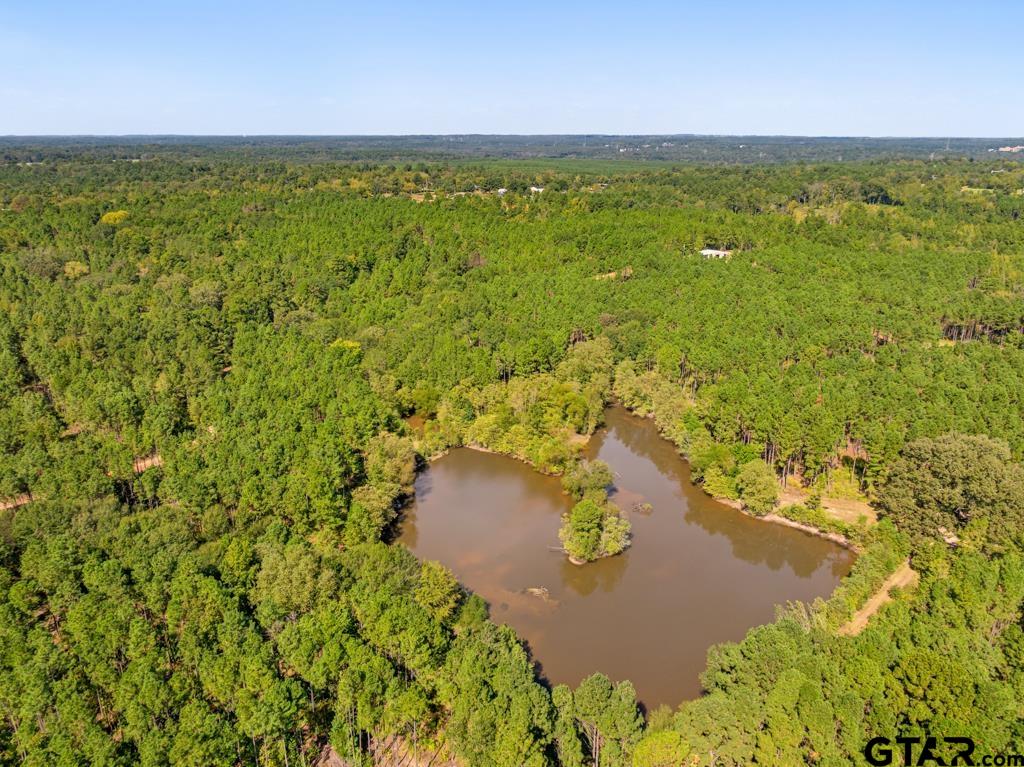 5379 County Road 385 Tyler, TX 75708 - Photo 11 of 44 a view of a yard with an outdoor space