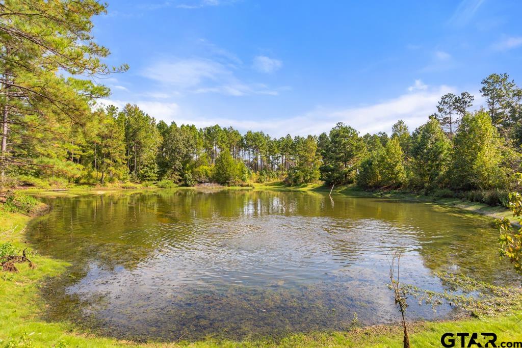 5379 County Road 385 Tyler, TX 75708 - Photo 13 of 44 a view of a lake with houses in the background
