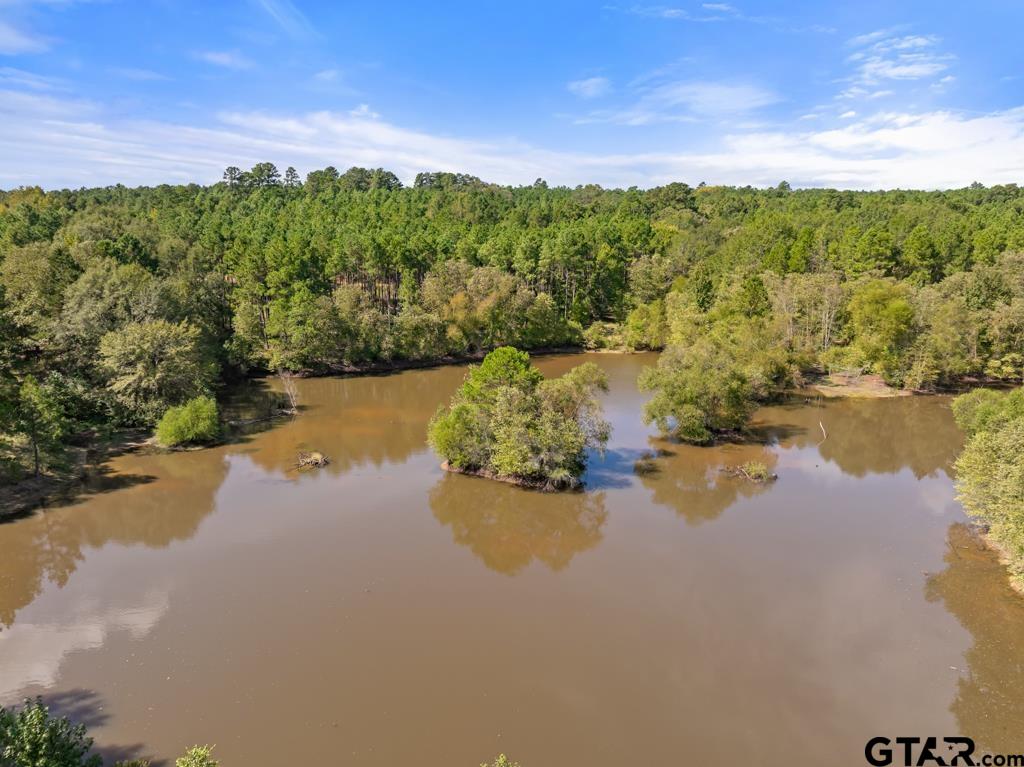 5379 County Road 385 Tyler, TX 75708 - Photo 15 of 44 a view of a lake with houses in the back