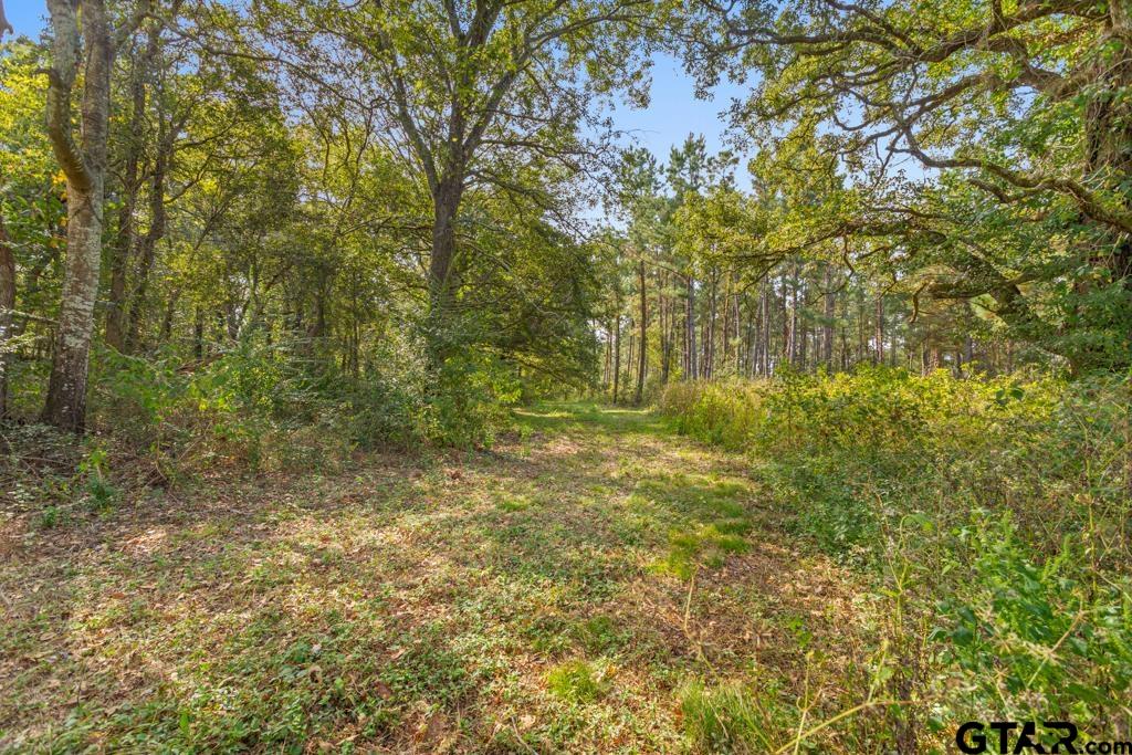 5379 County Road 385 Tyler, TX 75708 - Photo 18 of 44 a view of a yard with large trees