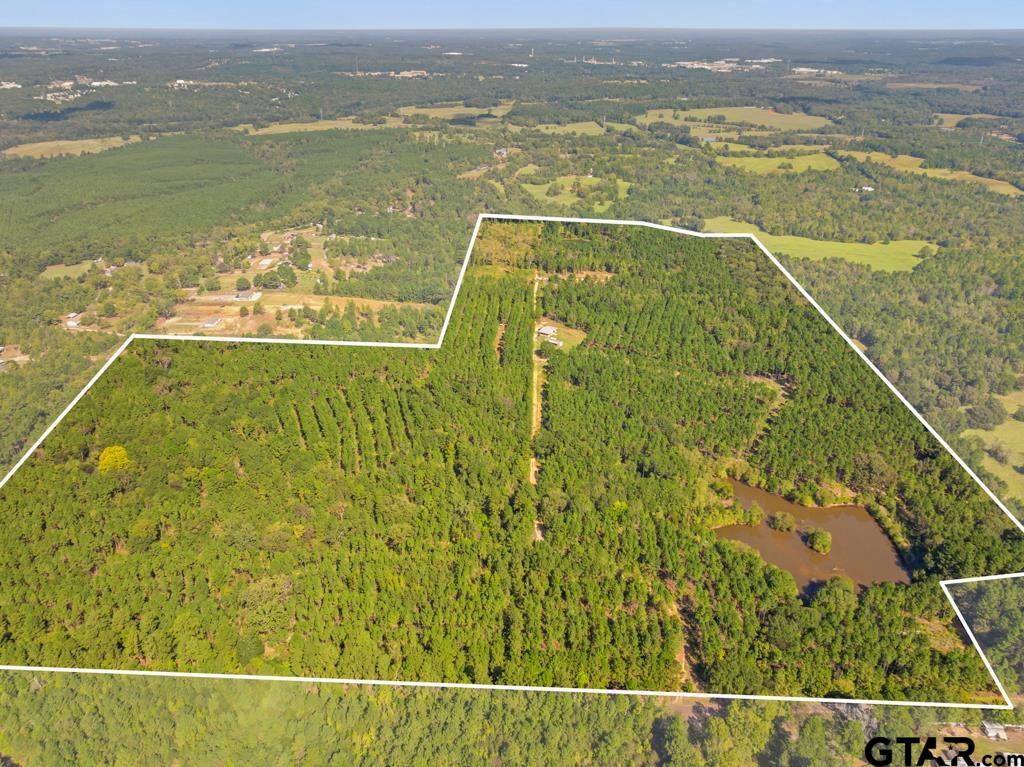 5379 County Road 385 Tyler, TX 75708 - Photo 2 of 44 a view of a city