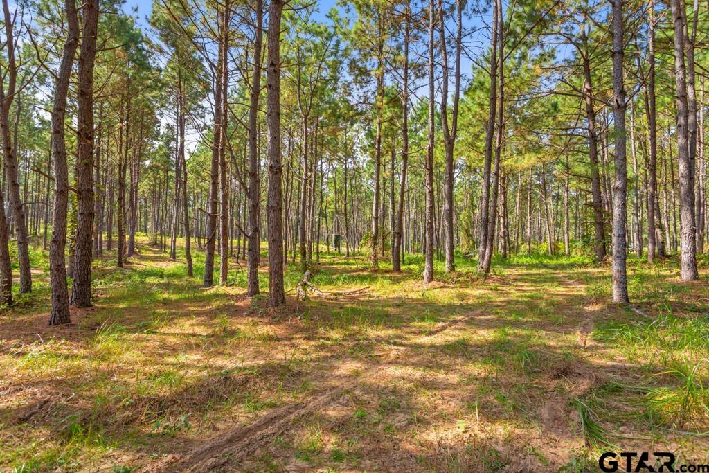 5379 County Road 385 Tyler, TX 75708 - Photo 24 of 44 a swimming pool with trees in the background