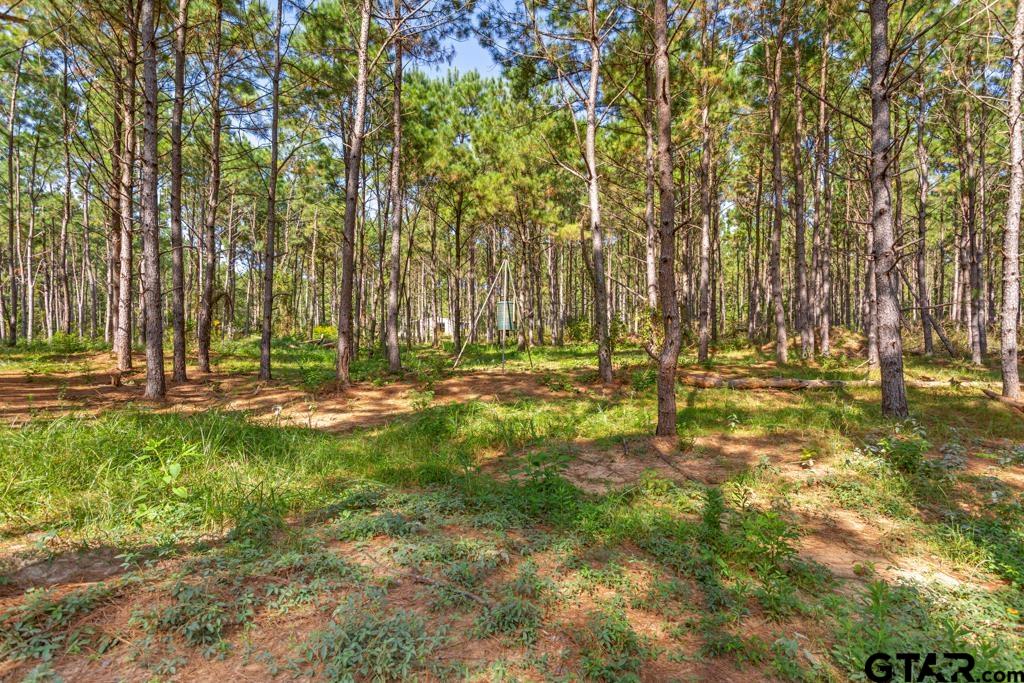 5379 County Road 385 Tyler, TX 75708 - Photo 25 of 44 a view of outdoor space with trees