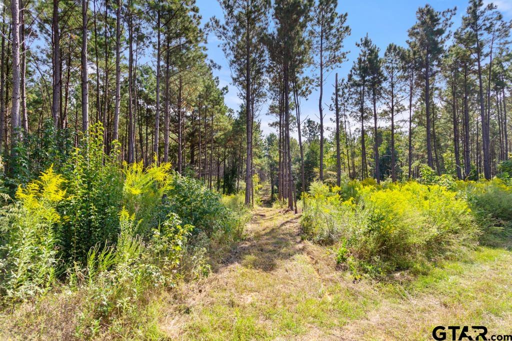 5379 County Road 385 Tyler, TX 75708 - Photo 27 of 44 a view of swimming pool of the house