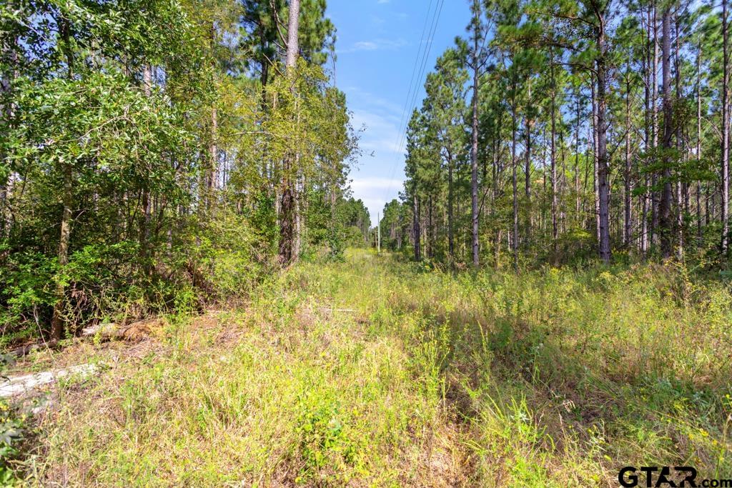 5379 County Road 385 Tyler, TX 75708 - Photo 30 of 44 a view of residential area with green trees