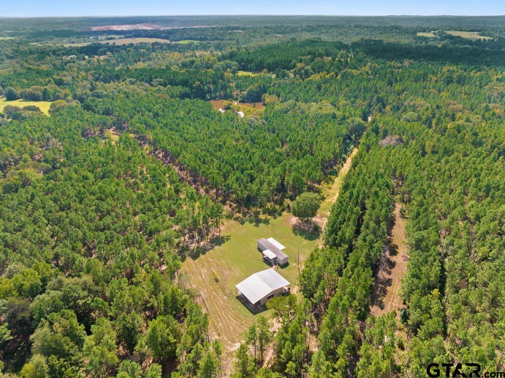 5379 County Road 385 Tyler, TX 75708 - Photo 3 of 44 a view of a lake with a city