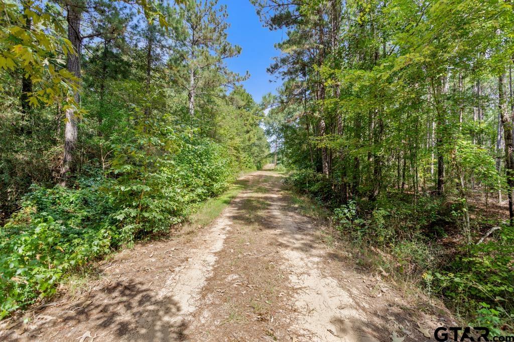 5379 County Road 385 Tyler, TX 75708 - Photo 34 of 44 a view of a pathway both side of yard