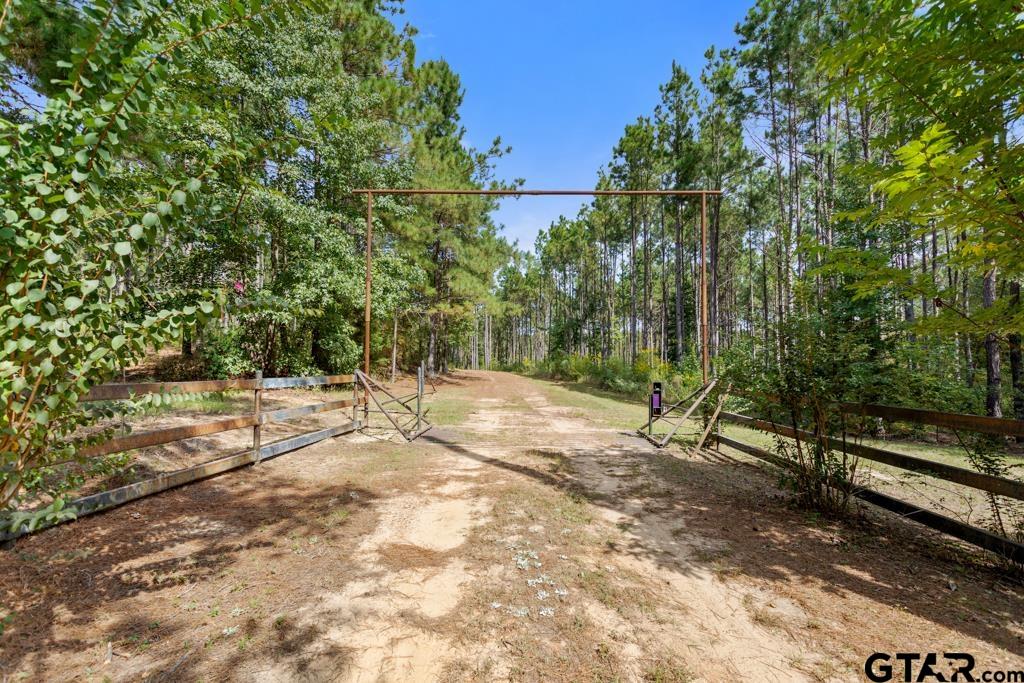 5379 County Road 385 Tyler, TX 75708 - Photo 4 of 44 a view of outdoor space with trees