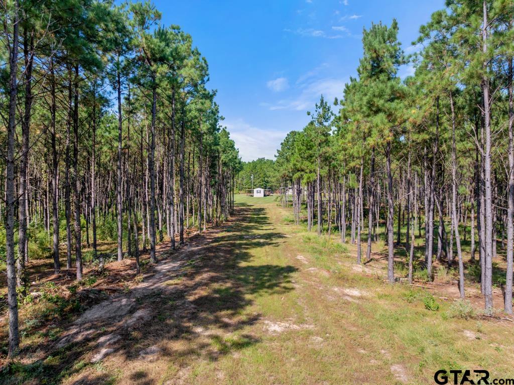 5379 County Road 385 Tyler, TX 75708 - Photo 6 of 44 a view of yard