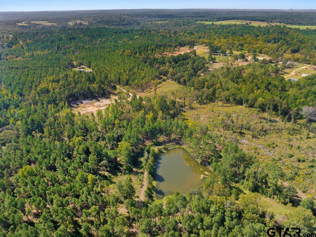 5379 County Road 385 Tyler, TX 75708 - Photo 10 of 44 a view of a lake with a city