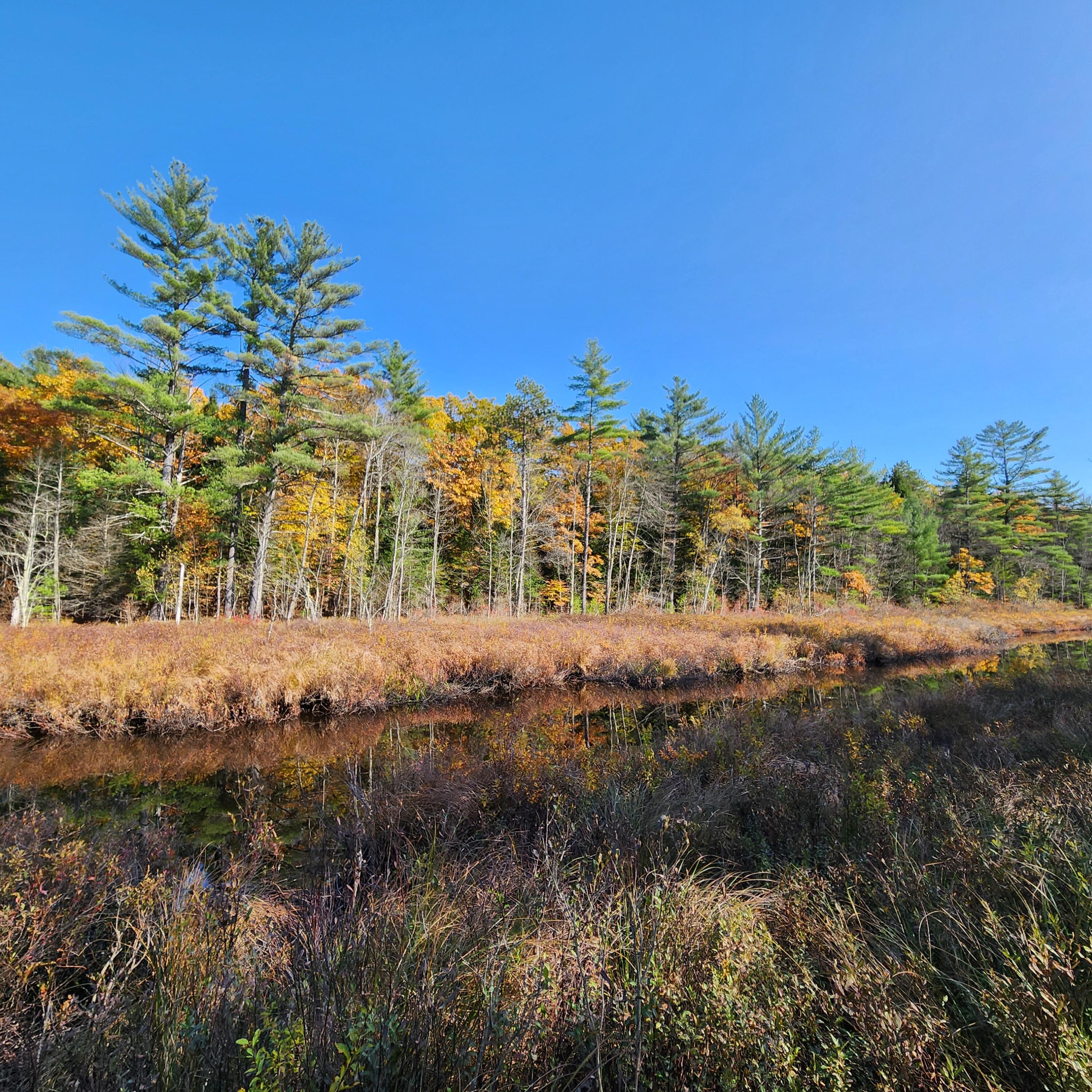 Map2 Map2 Lot7g Livermore, ME 04253 - Photo 16 of 21 20241019_125803