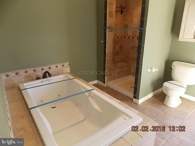 31321 Carioca Road Delmar, MD 21875 - Photo 8 of 43 Gallery Image 8