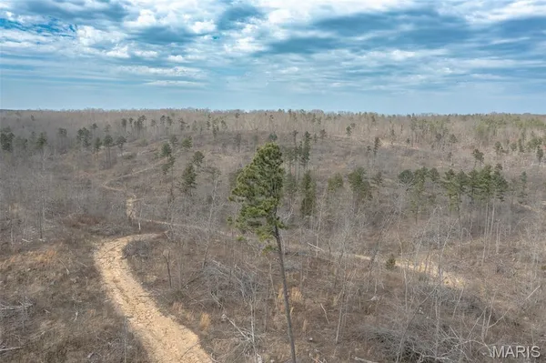 $249,900 | 88 Off Bcr 862, Marquand, MO 63655