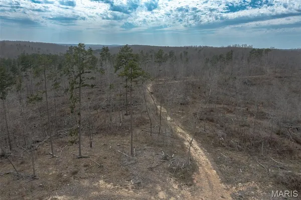 $249,900 | 88 Off Bcr 862, Marquand, MO 63655