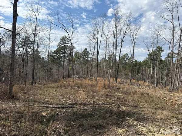 $249,900 | 88 Off Bcr 862, Marquand, MO 63655