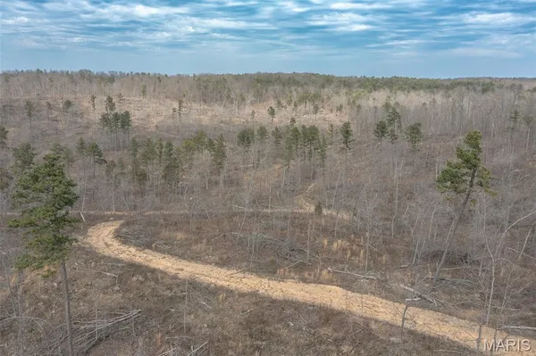 $249,900 | 88 Off Bcr 862, Marquand, MO 63655