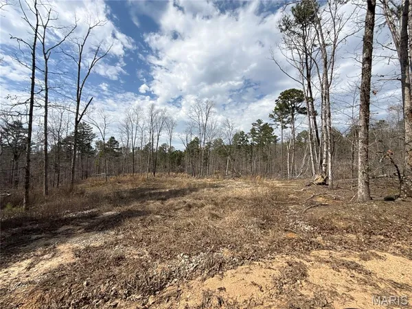 $249,900 | 88 Off Bcr 862, Marquand, MO 63655