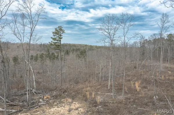 $249,900 | 88 Off Bcr 862, Marquand, MO 63655
