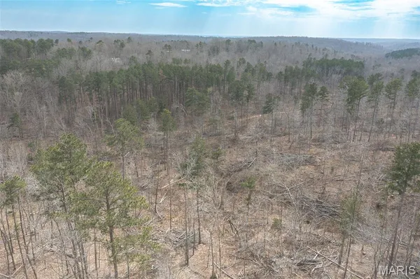 $249,900 | 88 Off Bcr 862, Marquand, MO 63655