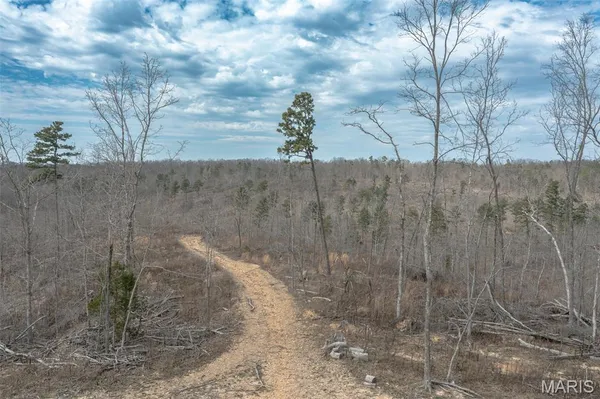 $249,900 | 88 Off Bcr 862, Marquand, MO 63655