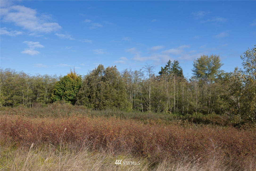 9999 Meadow Ridge Way Port Angeles, WA 98362 - Photo 14 of 34 Gallery Image 14