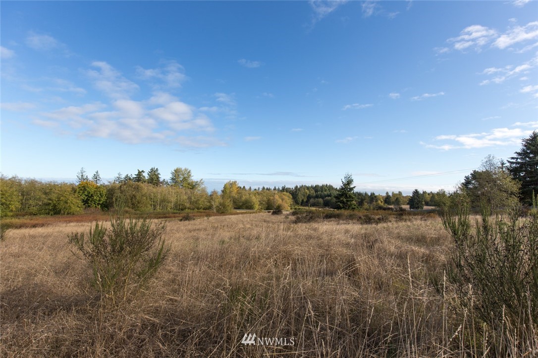 9999 Meadow Ridge Way Port Angeles, WA 98362 - Photo 8 of 34 Gallery Image 8
