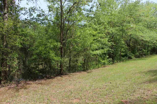 Lot 19 Hunters Trail Myrtle Beach, SC 29588 - Photo 3 of 15 Gallery Image 3