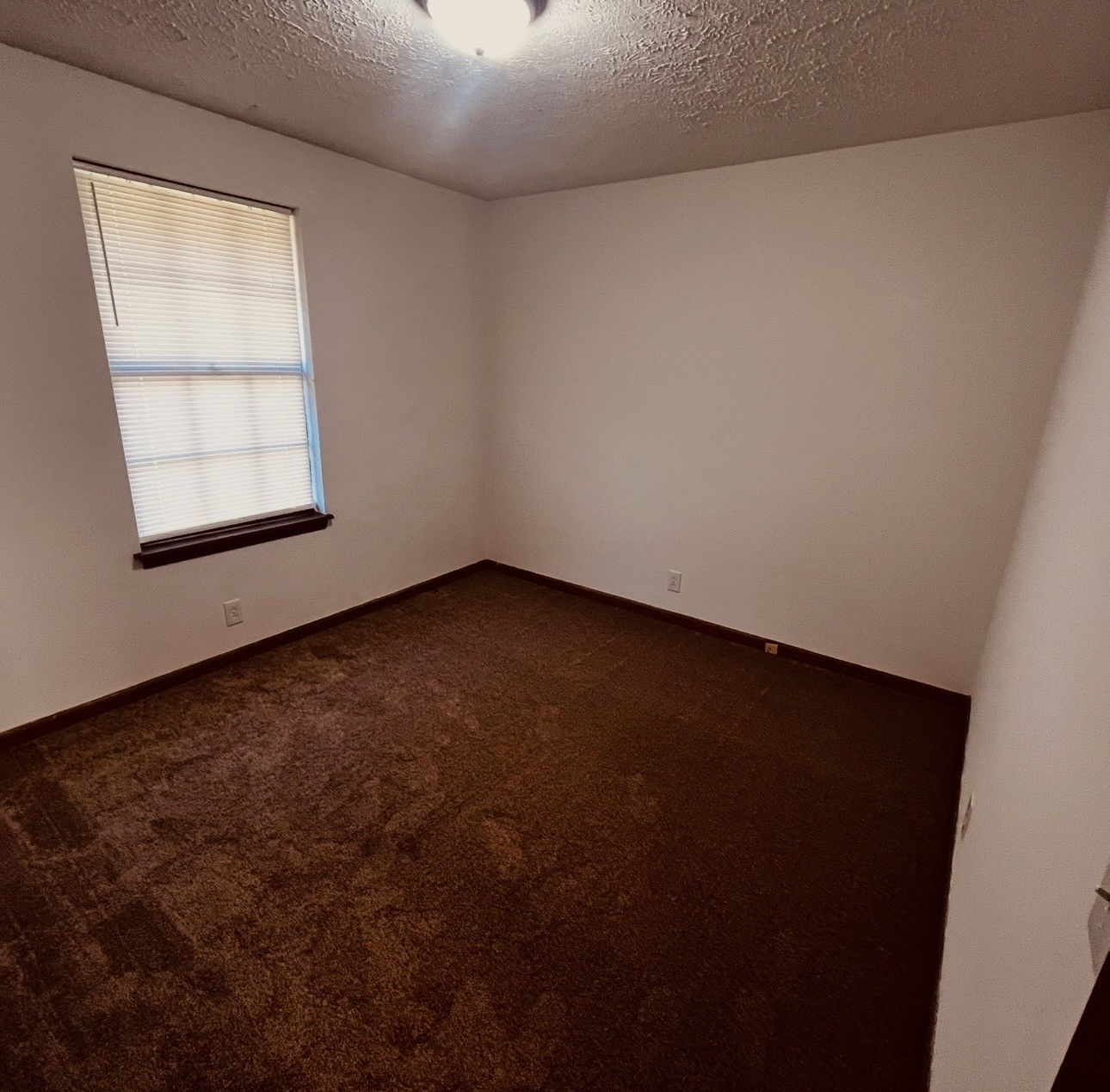 564 Tulip Grove Road Hermitage, TN 37076 - Photo 13 of 17 Gallery Image 13