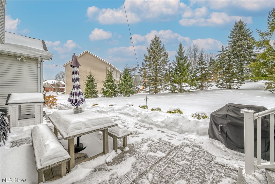 3912 Raintree Circle Uniontown, OH 44685 - Photo 40 of 49 Snow covered patio with grilling area and a backyard view
