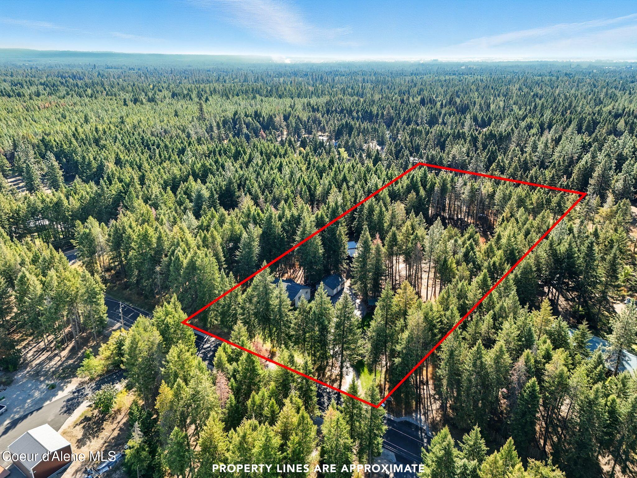 5100 West Golden Avenue Rathdrum, ID 83858 - Photo 28 of 34 Level & Treed