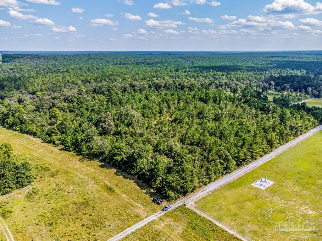 0 Munson Highway Milton, FL 32570 - Photo 13 of 18