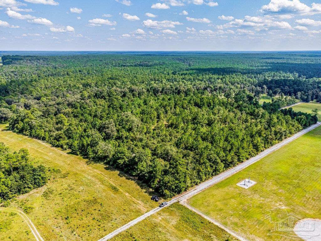 0 Munson Highway Milton, FL 32570 - Photo 14 of 18