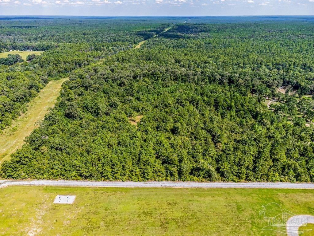 0 Munson Highway Milton, FL 32570 - Photo 15 of 18