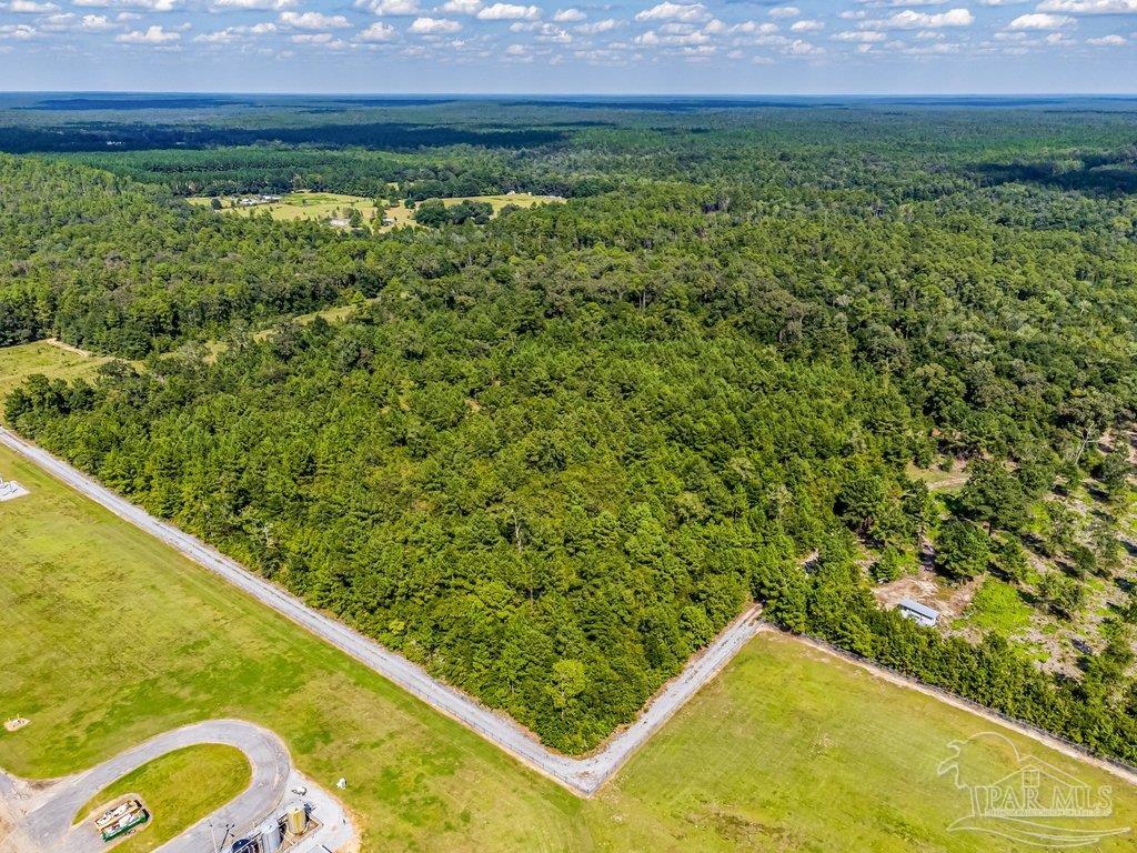 0 Munson Highway Milton, FL 32570 - Photo 16 of 18